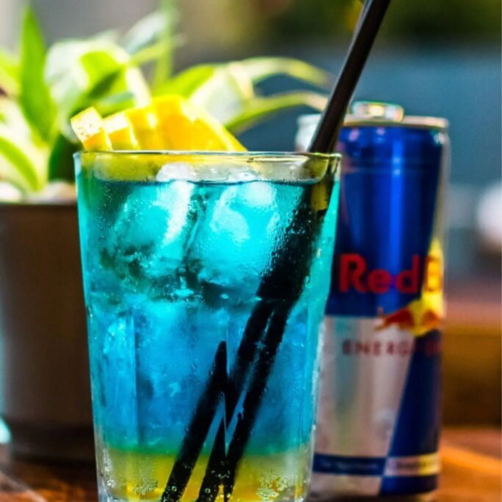 Blueberry Redbull